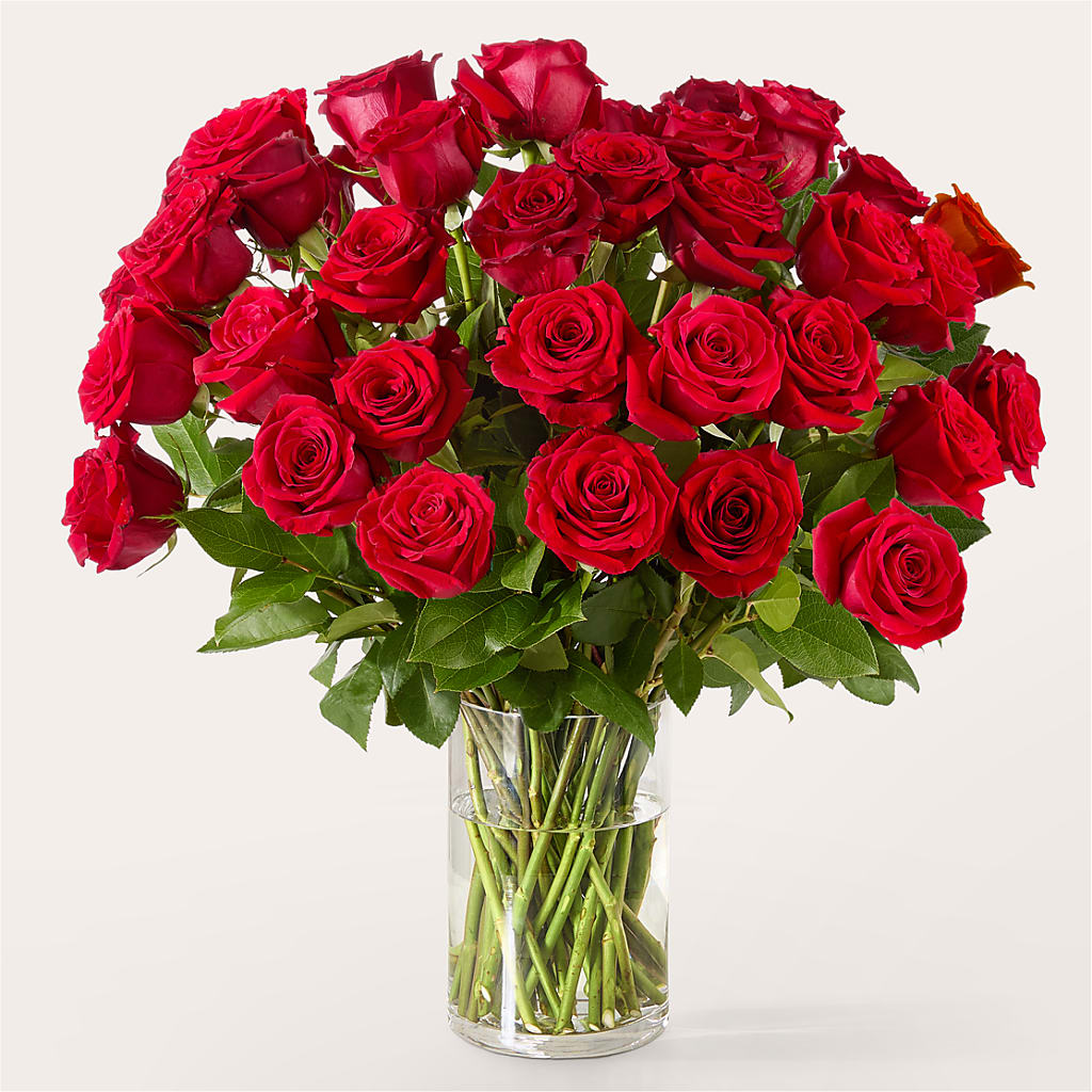 The One Red Rose Bouquet – MAGNOLIA'S FLOWER SHOP INC, Garden City MI