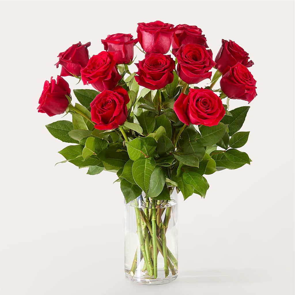 The One Red Rose Bouquet – MAGNOLIA'S FLOWER SHOP INC, Garden City MI