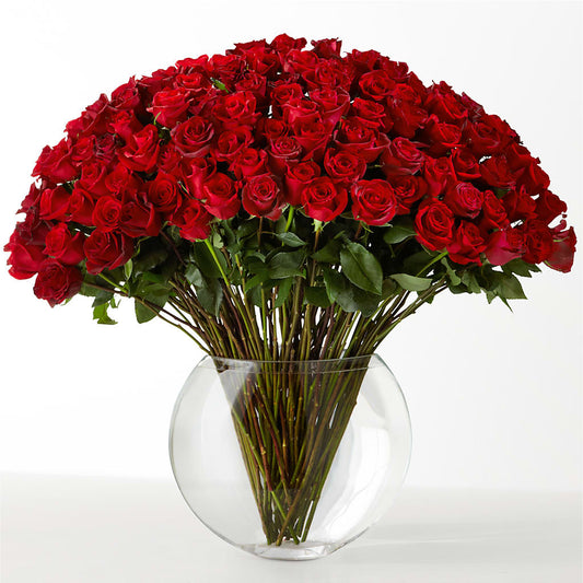 The Idealist – MAGNOLIA'S FLOWER SHOP INC, Garden City MI