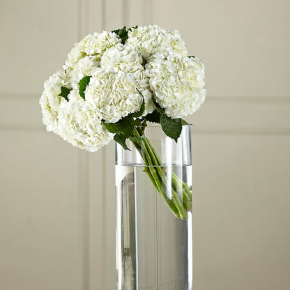 White Hydrangea Hand-Tied Bouquet – MAGNOLIA'S FLOWER SHOP INC, Garden City MI