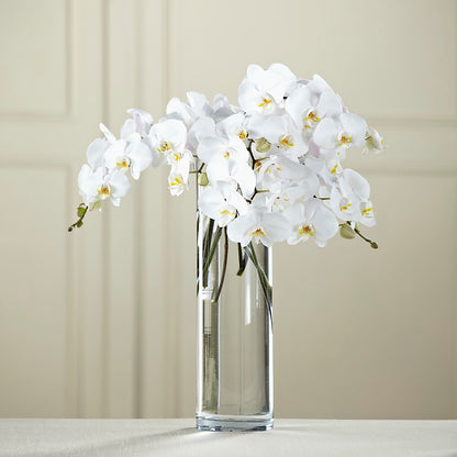 White Phalaenopsis Bouquet – MAGNOLIA'S FLOWER SHOP INC, Garden City MI