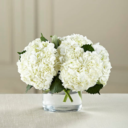 White Hydrangea Bouquet – MAGNOLIA'S FLOWER SHOP INC, Garden City MI